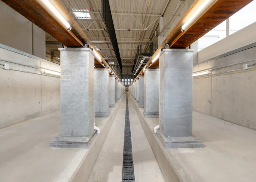 Kopli trammidepoo ehitaja Savekate